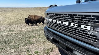 ⭐ ⭐ ⭐ ⭐ ⭐ Bronco Badlands in the Badlands North East Ford Road trip Ep 4 [upl. by Mintun]