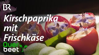 Gefüllte Kirschpaprika  Tipps von Sabrina [upl. by Zwick]