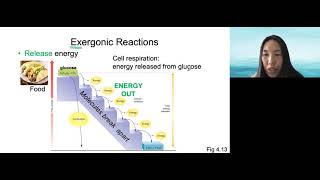 Energy and Reactions [upl. by Yeh]