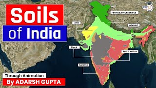 Soils of India Explained through 3D Animation  Indian Geography  UPSC GS1 [upl. by Erdnaxela]