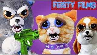 Feisty Cats vs Dogs Compilation Who Is Feistier [upl. by Ahsiel]