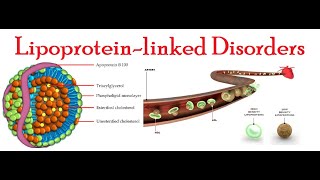 Disorders linked with Lipoproteins [upl. by Ellehcil]