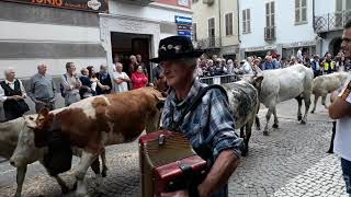 Transumanza Pont Canavese 29 09 2019 [upl. by Anivad]