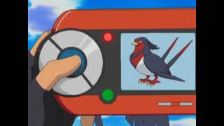 Taillow and Swellow Pokédex Entrieswmv [upl. by Nellda]