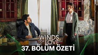 Rüzgarlı Tepe 37 Bölüm Özeti  Winds of Love Episode 37 Recap Eng Sub [upl. by Nnair]