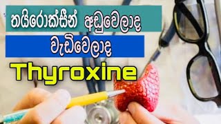 thyroid gland amp thyroxine hormone clear explanation   Sinhala medical channel [upl. by Randene]