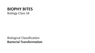 Biology Class 16  Bacterial Transformation [upl. by Melleta426]