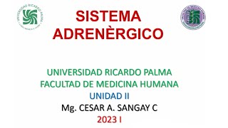 Sistema adrenérgico  Farmacología  Unidad II  sem 3 [upl. by Ahsiruam821]