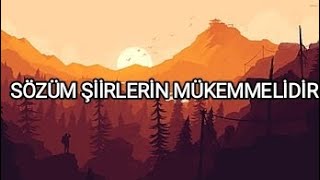 AHMET KAYASÖZÜM ŞİİRLERİN MÜKEMMELİDİR SÖZLERİLYRİCS [upl. by Eecyak]