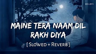 Maine Tera Naam Dil Rakh Diya Slowed  Reverb  Raghav Chaitanya  Ek Villain Returns  SR Lofi [upl. by Ogires792]