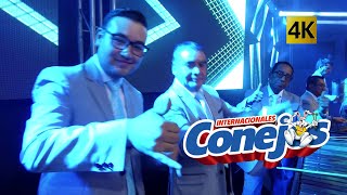 Internacionales Conejos  136 Aniversario 4K [upl. by Maurilla543]