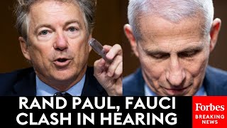 BREAKING Rand Paul Fauci Clash In Senate Hearing [upl. by Bacchus]