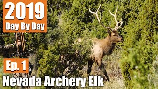 Full Draw On A 5Point  2019 Nevada Archery Elk with Scott Jones Ep 1 [upl. by Ayaros330]