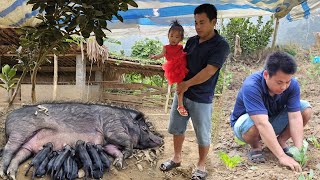 Gardening growing vegetables  Cooking bran for pigscaring for mother pigs giving birth to babies [upl. by Culosio56]