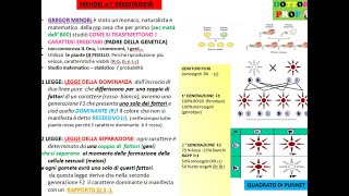 Mini lezione leggi di Mendel [upl. by Lienad]