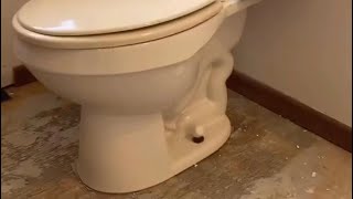 How To IF YOUR TOILET LEAKS ON THE FLOOR THIS IS HOW TO FIX IT shorts tutorial short [upl. by Jennilee]