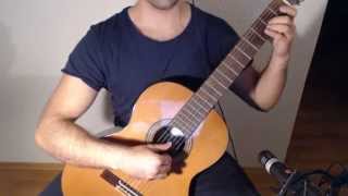 A Winters Tale  The Elder Scrolls V Skyrim on Guitar [upl. by Fredrika500]