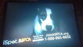 ASPCA TV Commercial quotEvery Day In Americaquot 2022 [upl. by Hnad422]