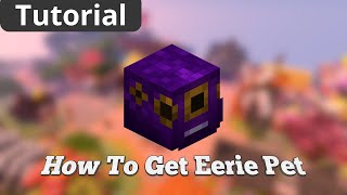 How To Get EERIE PET in Hypixel Skyblock [upl. by Leval]