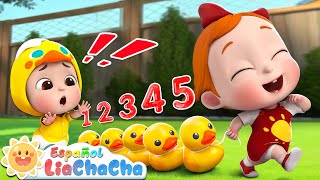 Cinco Patitos🦆  Contando Patitos  LiaChaCha en Español  Canciones Infantiles [upl. by Fotzsyzrk627]