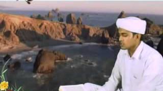 Quran recitation of Hafiz Shameer Markaz Song 201110 [upl. by Eanal109]