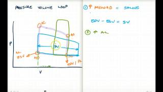 PRESSURE VOLUME LOOP MADE SIMPLE [upl. by Neau]