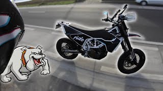 MOTOVLOG 🏍 Présentation Chien Féroce et Crevaison 😅 [upl. by Shipman703]