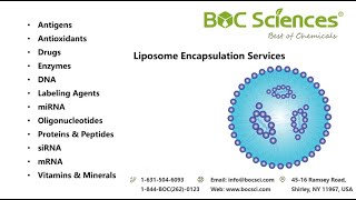 What is Liposome Encapsulation  Liposomal Technology  BOC Sciences [upl. by Hajidak528]