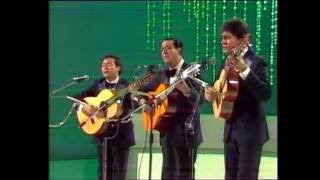 LOS PANCHOS NavarroBasurtoVargas  PERDÓN  1982 [upl. by Kruter]