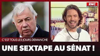 Arnaud Demanche  Une sextape au Sénat [upl. by Nefets]