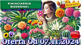 𝐁𝐈𝐄𝐃𝐑𝐎𝐍𝐊𝐀🐞Kwiaciarnia Biedronki Nowa Oferta Od 07112024 Kwiatowe Inspiracje Biedronki Tanie Kwiaty [upl. by Asiram]