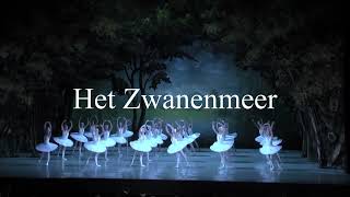 Zwanenmeer Nationale Ballet van Moldavië trailer movie [upl. by Brentt34]