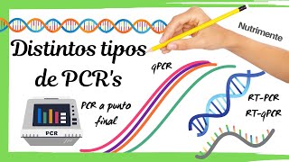 Distintos tipos de PCRs PCR  RTPCR  qPCR  RTqPCR [upl. by Minnnie]