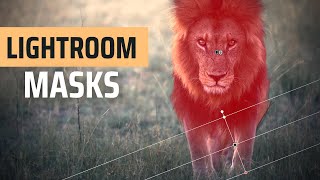 How To Use LIGHTROOM MASKS [upl. by Angelita424]