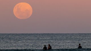 MOONRISE at Mosman NSW [upl. by Enetsuj]