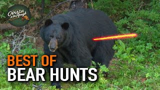 50 Bear Hunts in 15 Minutes ULTIMATE Bear Hunting Compilation  BEST OF [upl. by Kayla]