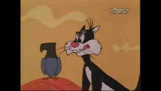 Sylvester and Speedy GonzalesLooney Tunes Cartoonname of episode quotRoad To Andalayquot [upl. by Durrell]