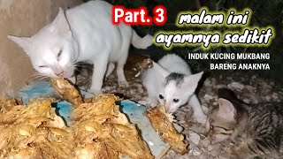 Part 3 Induk dan Anak Kucing Mukbang Ayam Bakar Sedikit Yang Penting Kenyang sumarmanklik [upl. by Acinad]