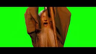 Gandalf saying quotYOU SHALL NOT PASSquot meme  Green Screen [upl. by Adnuahsar]