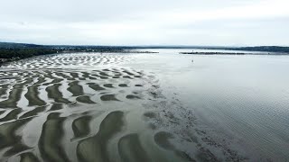 Semiahmoo First Nation amp A Rocha Canada  Revitalizing Traditional Shellfish Harvest in Boundary Bay [upl. by Jeffery]