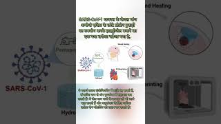 SARSCoV1 virus  Viral protein  new research science shortvideo  AtoZ9935 [upl. by Harding]