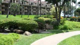 Kamaole Sands Condo Walk to Beach [upl. by Aiahc748]