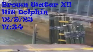 Brown Water XII Hit Dolphin [upl. by Debarath756]