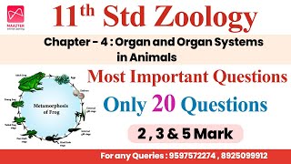 11th Std Zoology  Chapter  4  Most Important Questions  Only 20 Questions  Public Centum Plan [upl. by Noonberg]