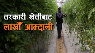 तरकारी खेतीबाट लाखौ आम्दानी krishi agriculture kisan [upl. by Mcgraw]