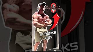 UPDATE JOSEMABEAST 🇪🇸 7 weeks out mrolympia2024 [upl. by Omrellug]