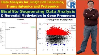 Bisulfite Sequencing Data Analysis Differential Methylation in Gene Promoters [upl. by Crosse]