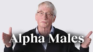 The ‘alpha male’ myth debunked  Frans de Waal [upl. by Droffats]