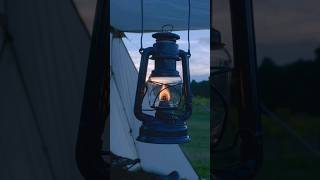 Camping with our dog  Camping in the UK camping campingvibes outdoor outdoorlife [upl. by Benny]