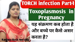 TORCH infection part 1 causes and symptoms of toxoplasmosis during pregnancy in hindi by ranjana [upl. by Bonney]